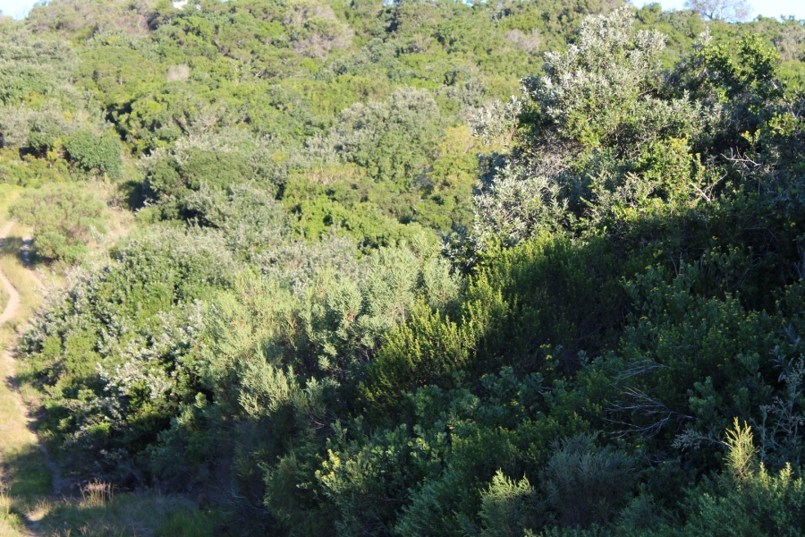 0 Bedroom Property for Sale in Kleinemonde Eastern Cape